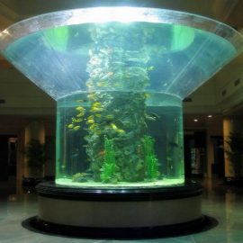 pmma 유리 수족관 반 실린더 perspex 투명 물고기 탱크