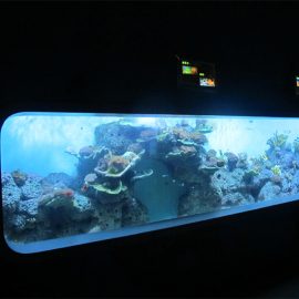 인공 주조 아크릴 원통 투명한 물고기 수족관 / 전망 창